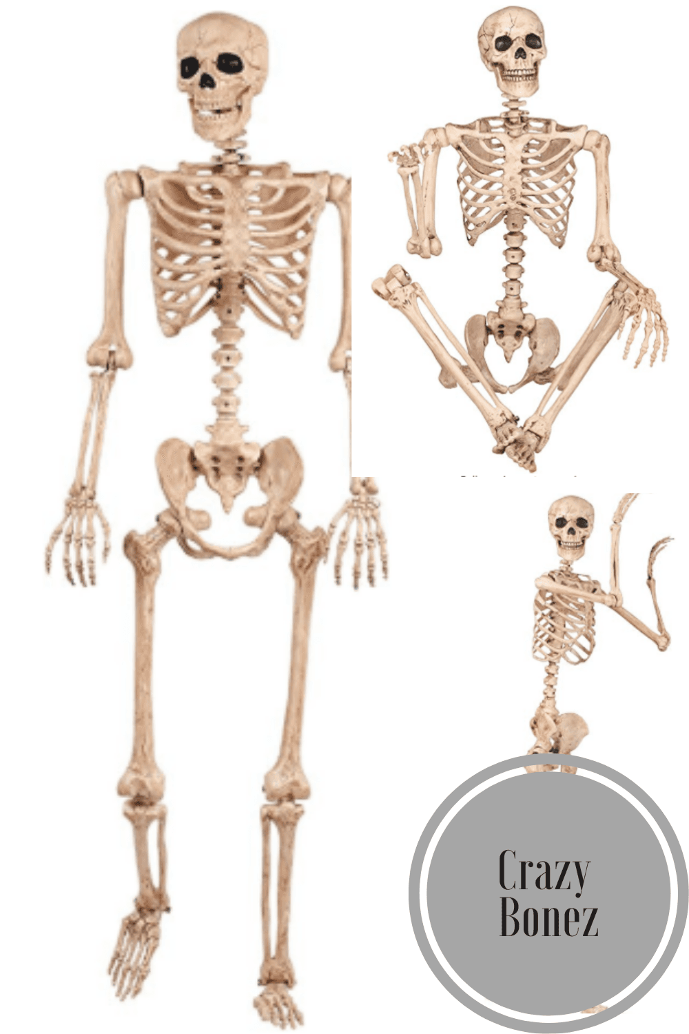 Crazy Bonez Pose-N-Stay Life Size 5 FT Skeleton with Realistic Posable ...