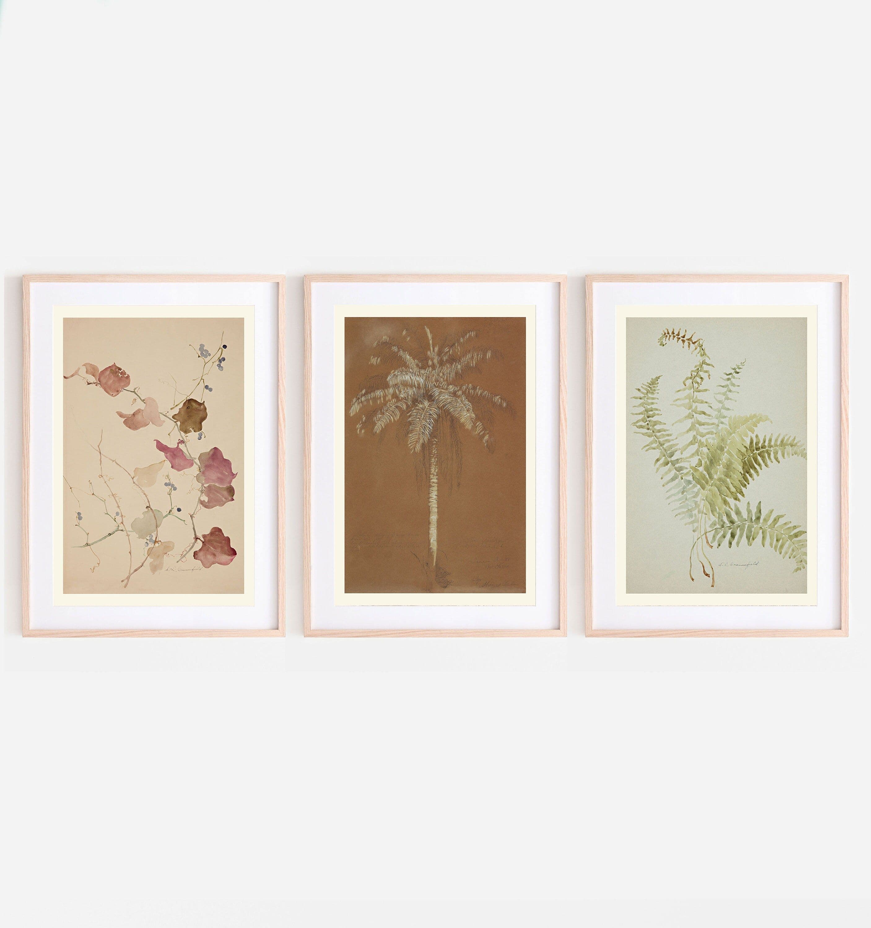 Vintage Botanical Watercolour Paintings Set of 3, Printable Nature ...