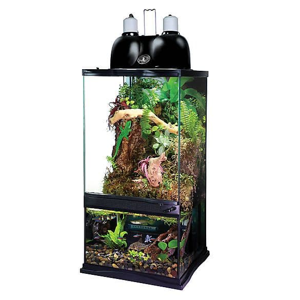 Paludarium Tank Petsmart - Paludarium 2021