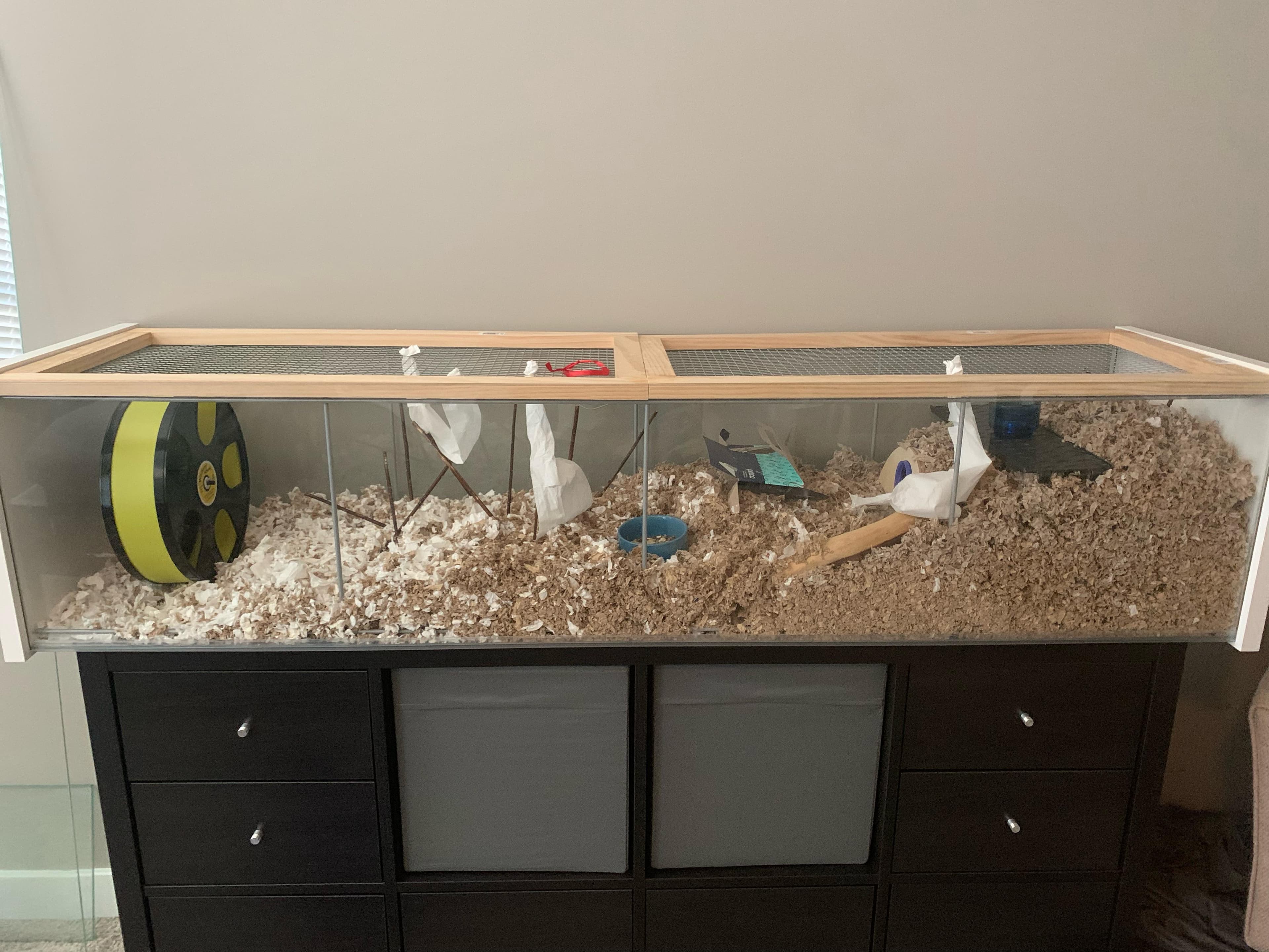 IKEA Detolf Hamster Set-Up V.2 : r/hamsters