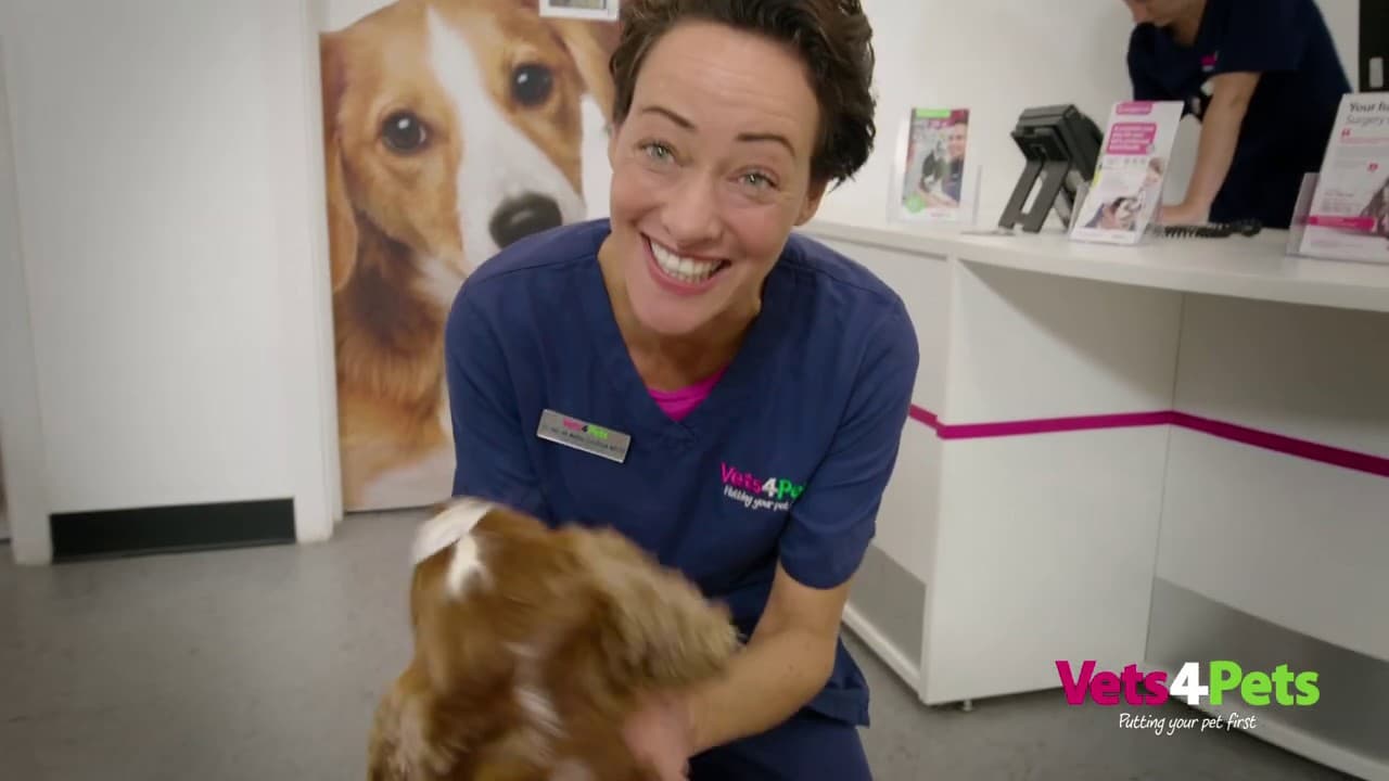 Complete Care TV Advert 2019 | Vets4Pets - YouTube