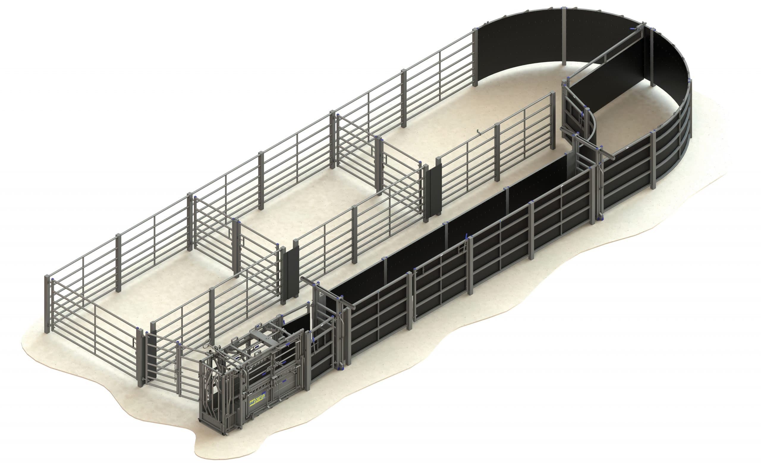 Fixed Cattle Handling Systems | Cattle Handling | IAE Agriculture