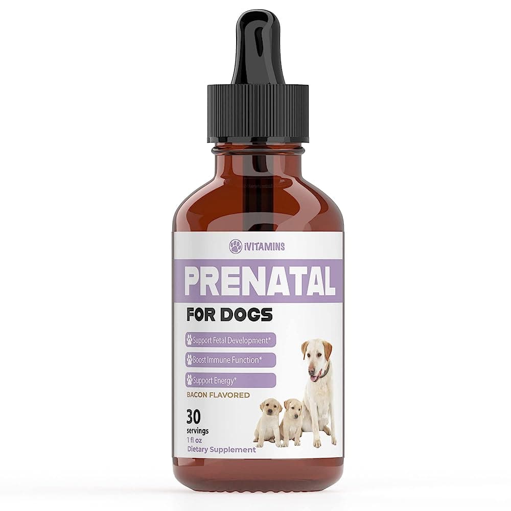 7 Best Prenatal Vitamins for Dogs - iHeartDogs.com