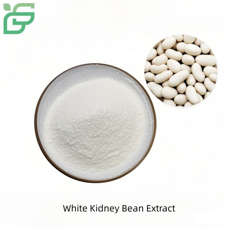 White Kidney Bean Extract Manufacturer