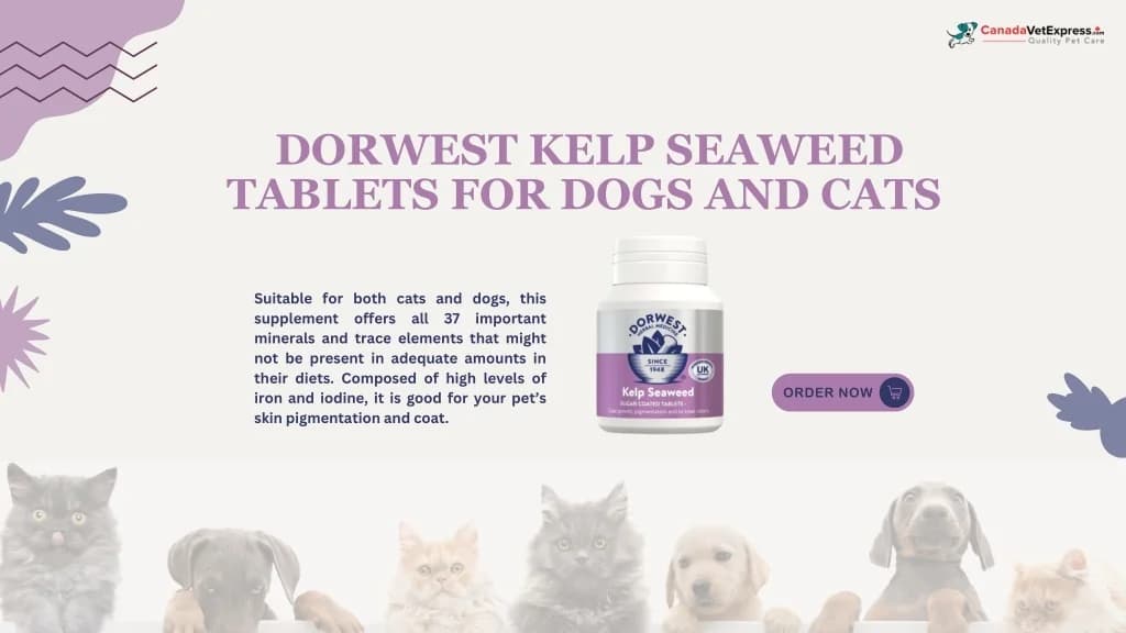 PPT - Dorwest Products: The Best Choice for Natural and Effective ...