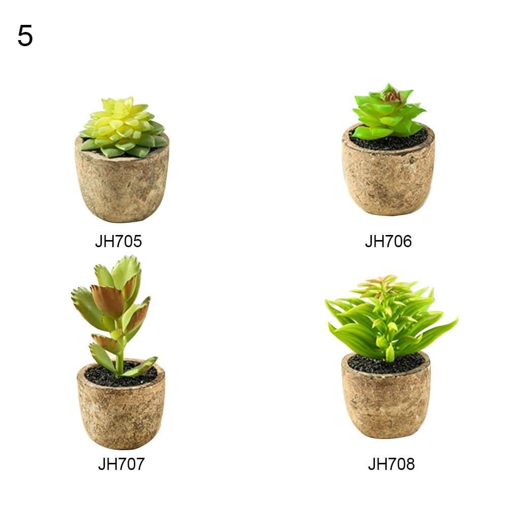 The Bloom Times Artificial Succulent Plants in Pots Set of 4
