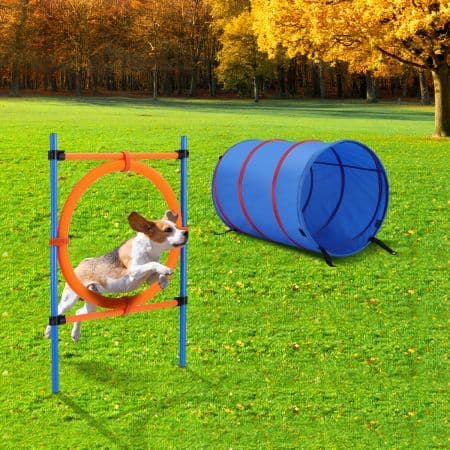 Pawise Dog Agility Tunnel Equipment Set Pet Obstacle Training Course ...