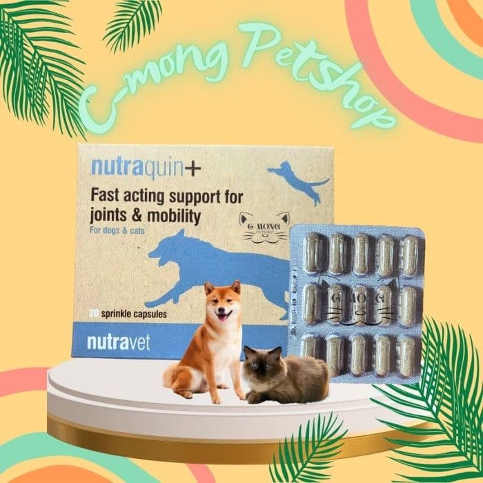 Nutraquin Plus Suplemen Sendi / Joint / Anti Radang & Tulang Cat Dog ...