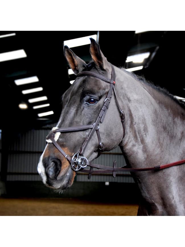 BR054 Leather Ready to Ride Bridle | John Whitaker