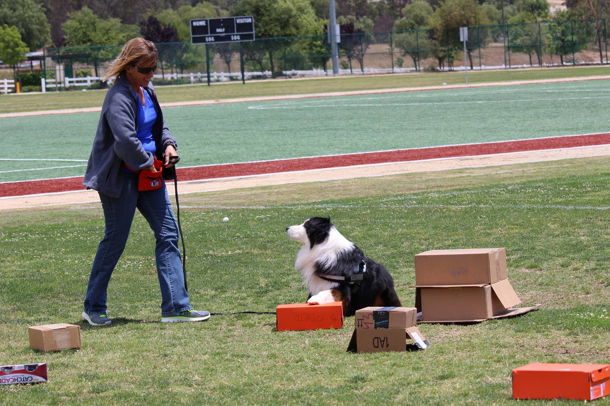 Nosework - Canine Scentwork