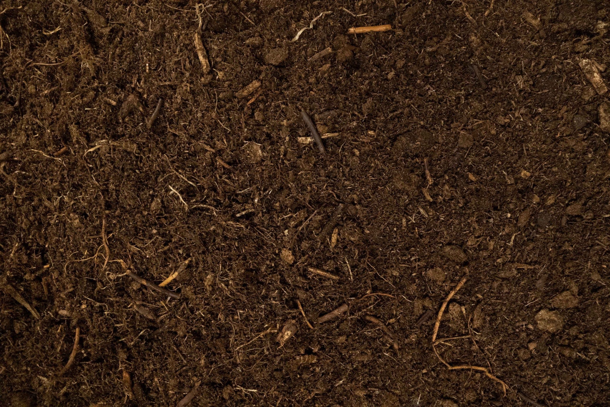Bedding Horses Peat Moss at James Auxier blog