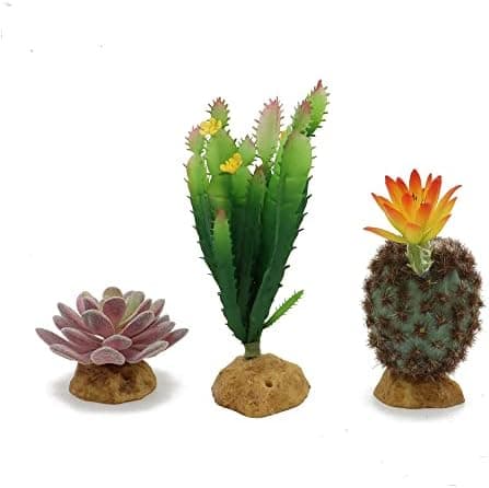 Amazon.com: JIHAQUA Reptile Plants Succulent, Artificial Desert Rain ...