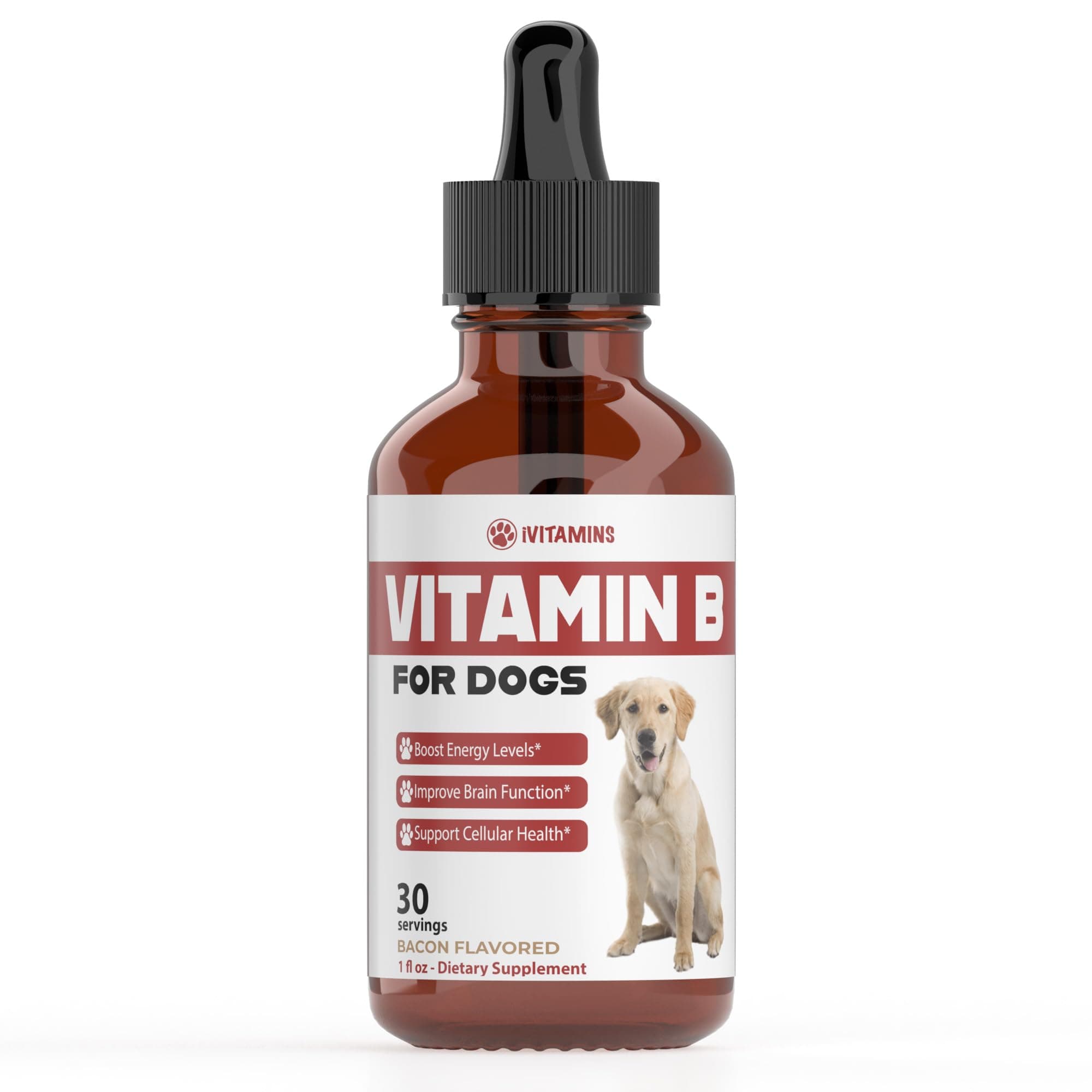 15 Best Vitamin B Complex for Dogs to Boost Vitality