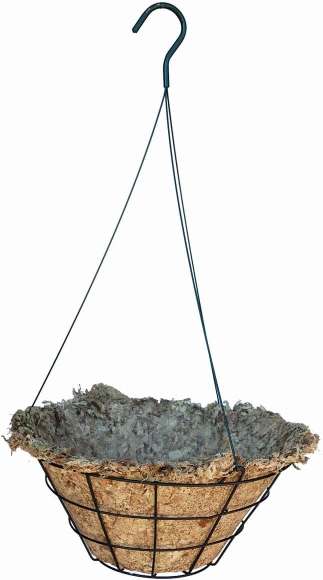 Amazon.com: 12" Sphagnum Moss Hanging Basket with Wire Hanger (BMH ...