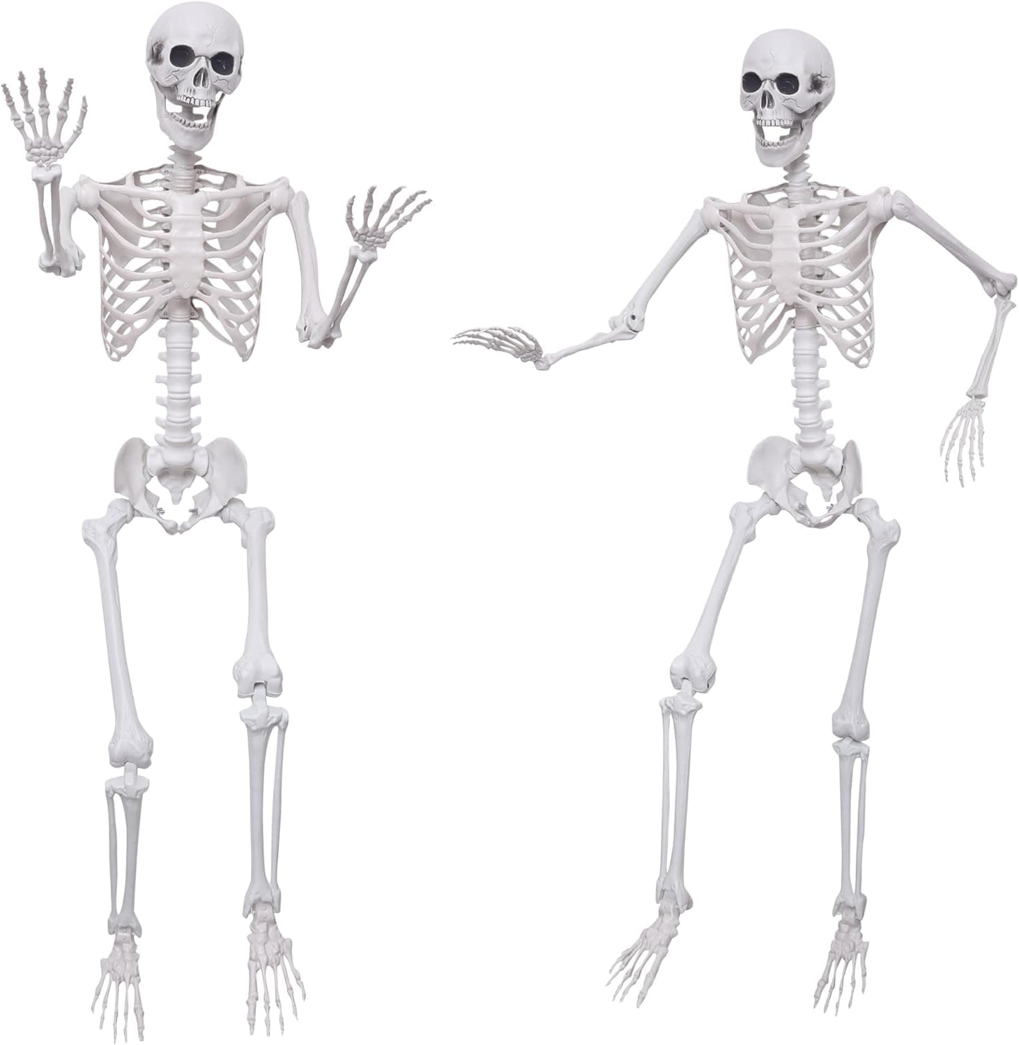 Amazon.com: 2Pack 5.4Ft Life Size Skeletons Posable Skeletons Full Size ...