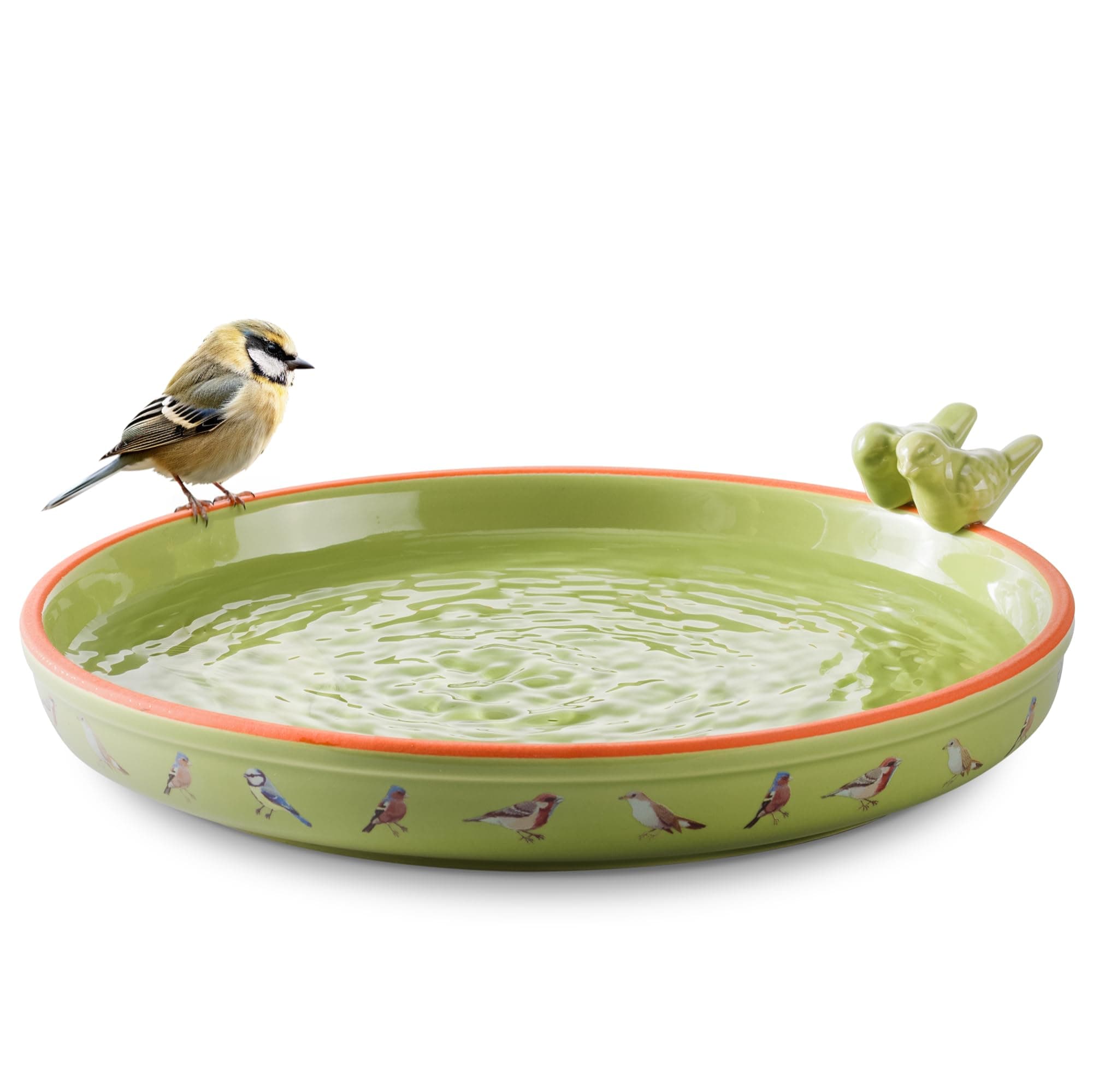 The Bird Bath Company Ceramic Bowl