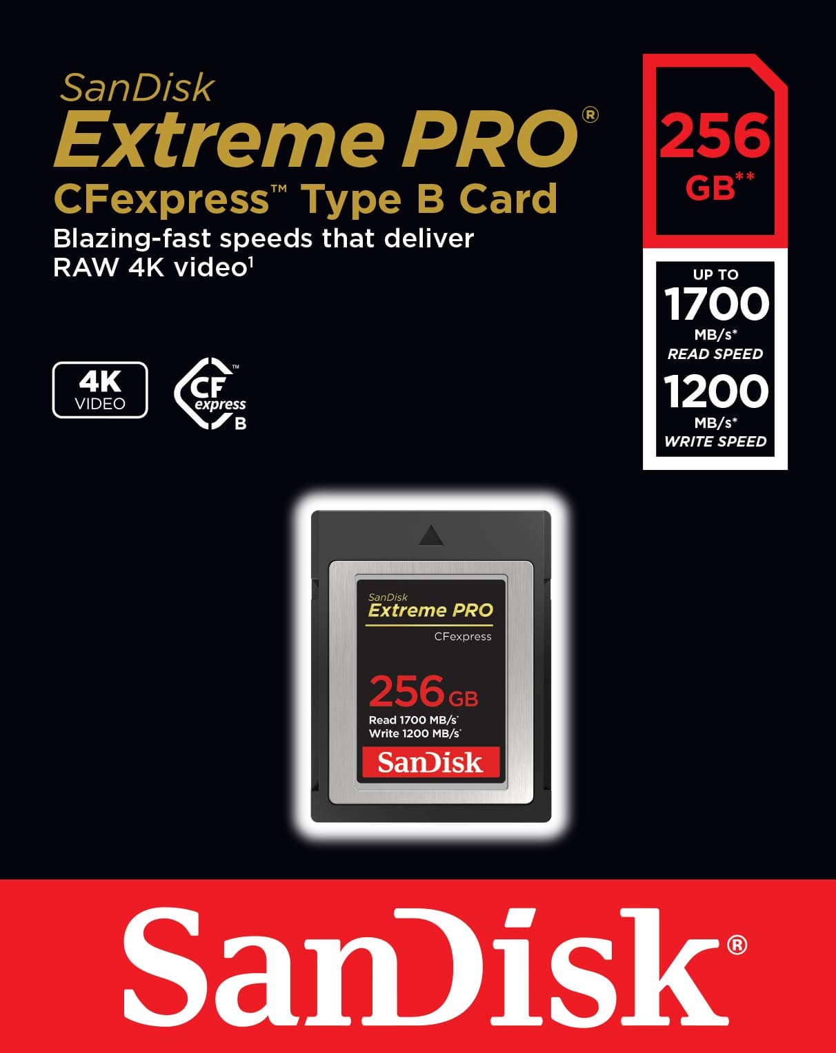 配送員設置送料無料 shoryu168SanDisk Extreme PRO 256GB CFexpress Type-B Memory ...
