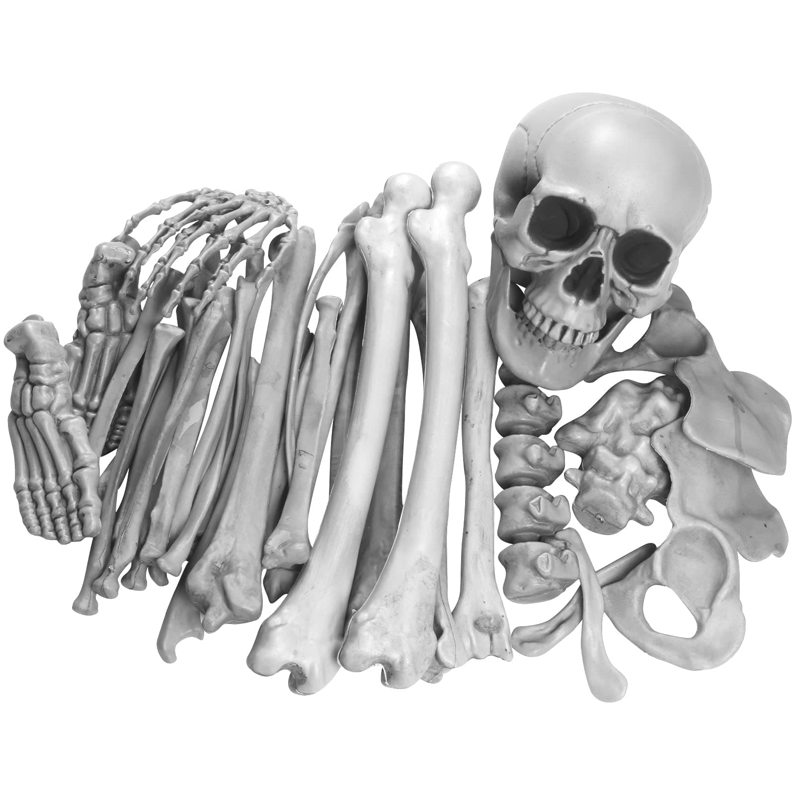 Snapklik.com : 35 Pieces Skeleton Bones For Halloween Decoration ...