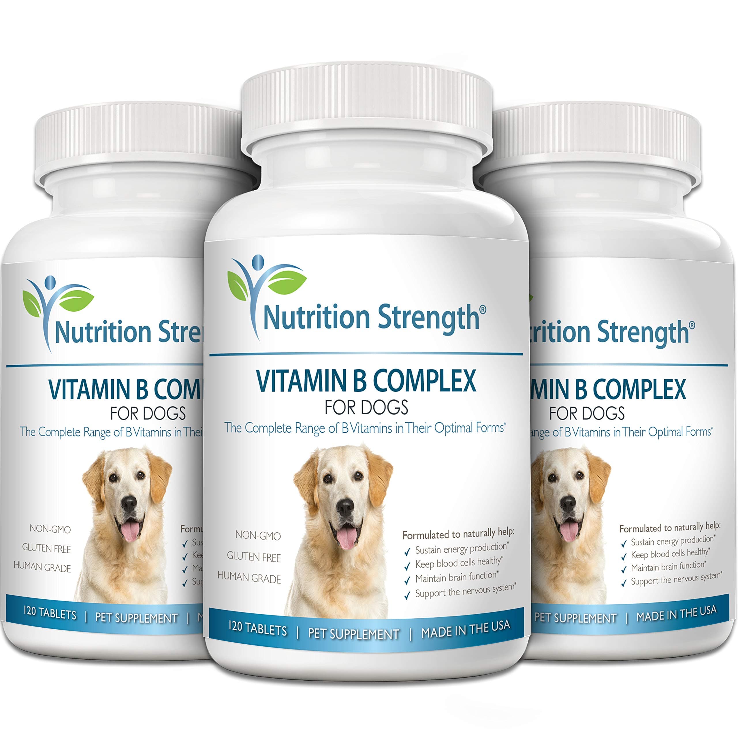 Are B Vitamins Good For Dogs