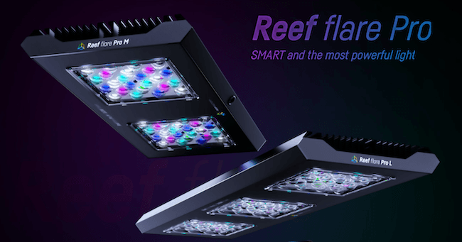 Reef Factory Reef Flare Pro LED Lighting - Marine Aquatics Ltd.