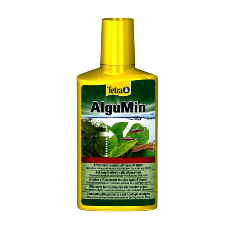 Tetra AlguMin 100 ml - anti algue pour aquarium