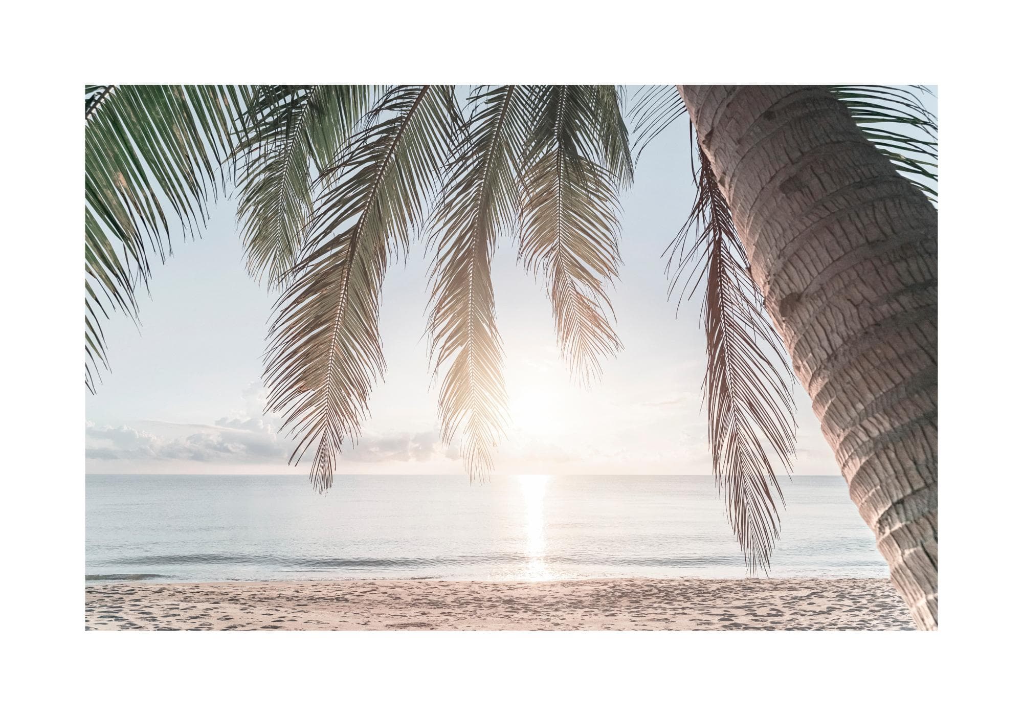 Tropical Beach Sunset Poster – Palmboom bij Zonsondergang | Desenio