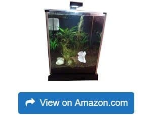 The Best Betta Fish Tanks for Your Beloved Aquatic Friends