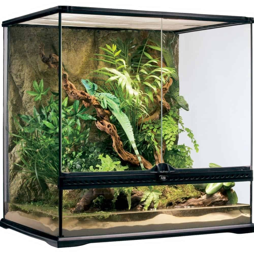 Exo Terra Glass Natural Terrarium Review