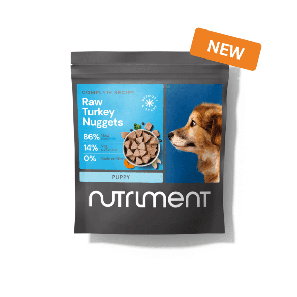 Raw Dog Food From Nutriment | Northampton Raw Dog Food