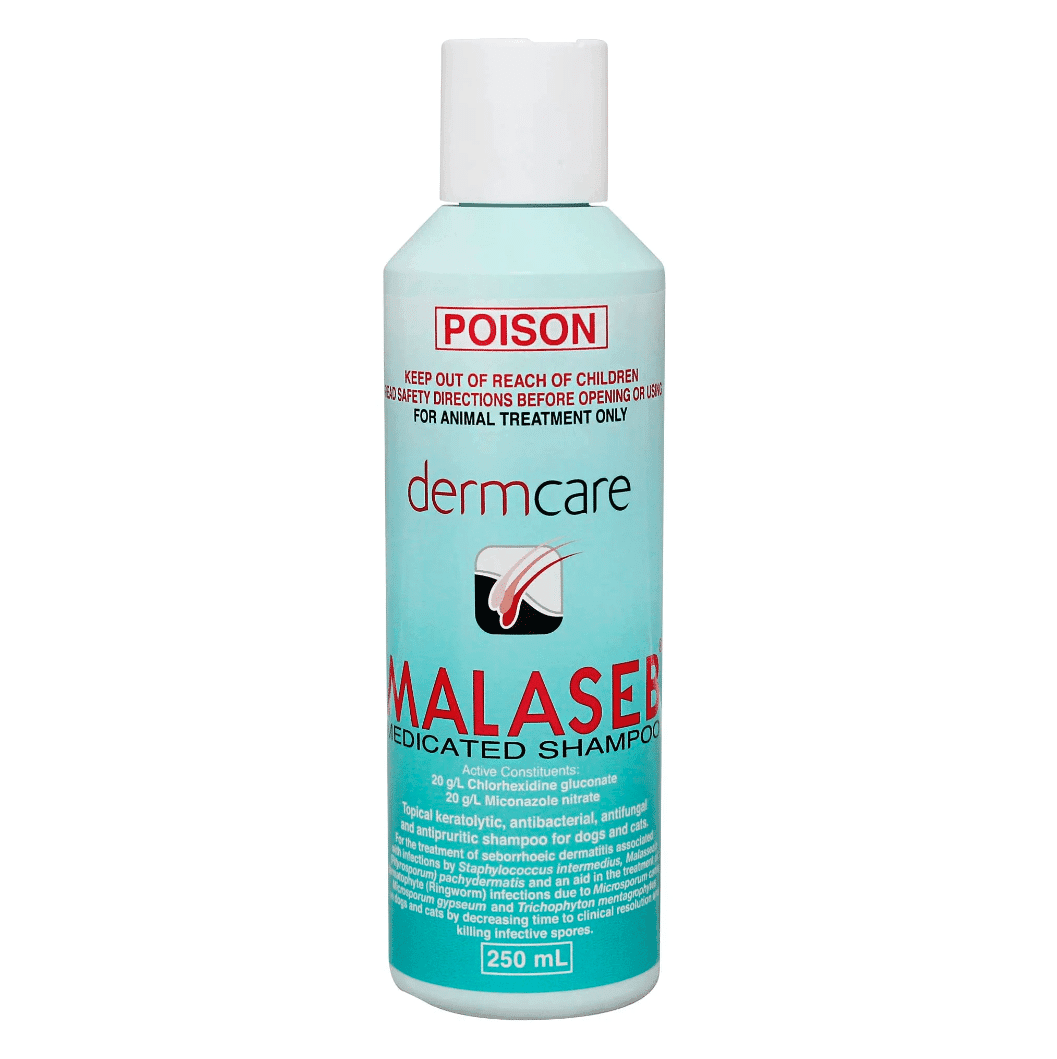 Malaseb Medicated Shampoo