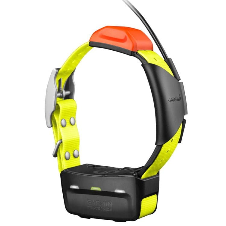 Dog Tracking Collar With Camera at Jackson Mcpherson blog