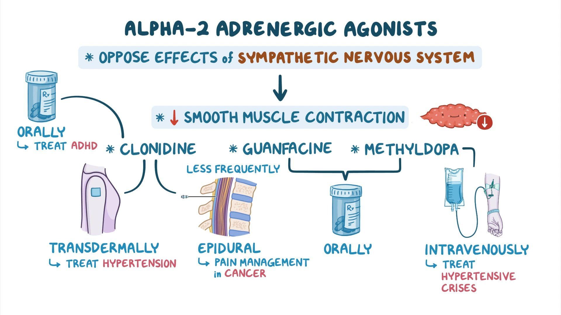 Alpha-2 adrenergic agonists: Nursing pharmacology - Osmosis Video Library