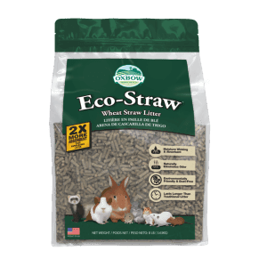 Which Bedding Is Best For My Pet? - Oxbow Animal Health