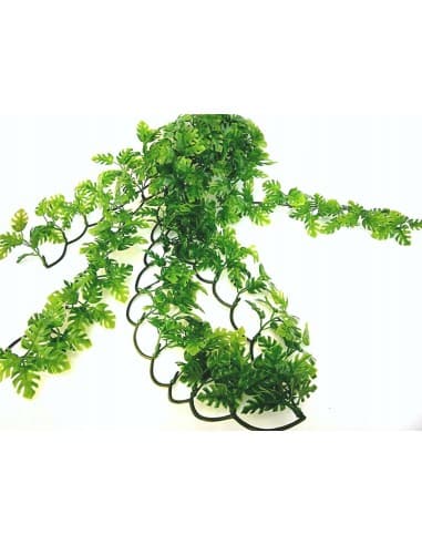 Zoo Med Natural Bush™ rastlina - L Amazonian Phyllo