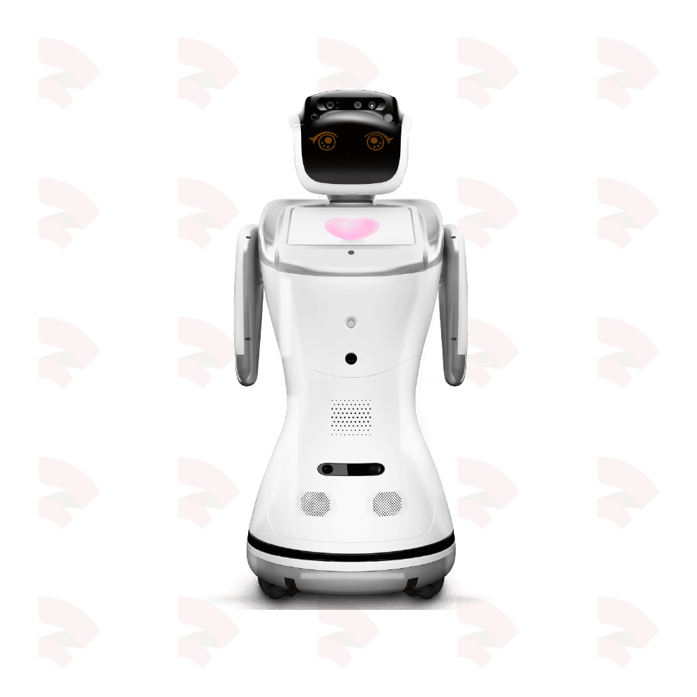 Sanbot Elf