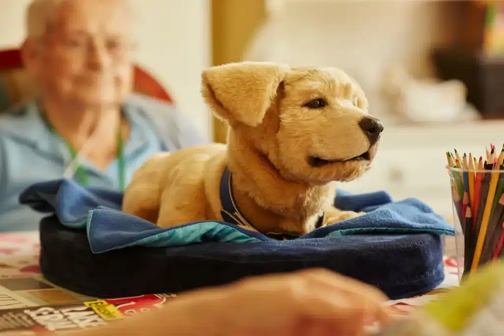 Jennie the Robot Puppy for Dementia Care: Tombot CEO Interview