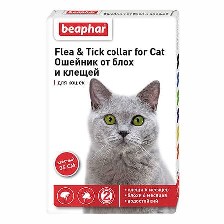 Beaphar Flea & Tick Collar for Cats Red 6 months 35 cm - Buy online