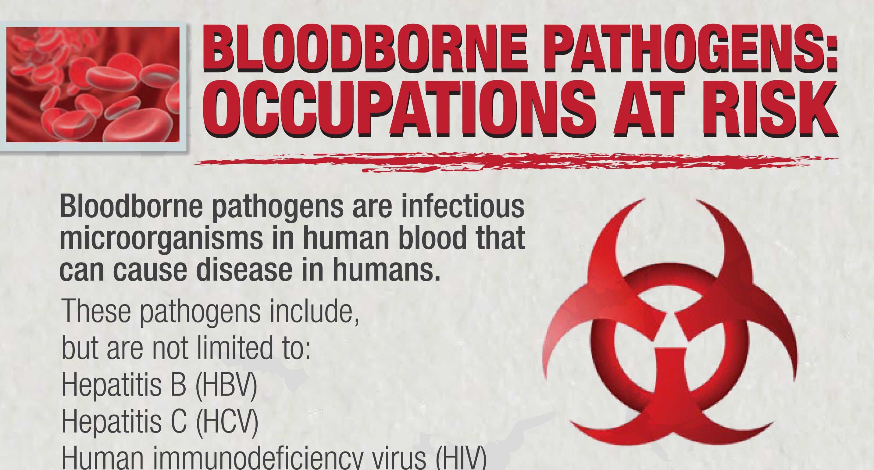 Bloodborne Pathogens In The Workplace at Marilyn Hudgins blog