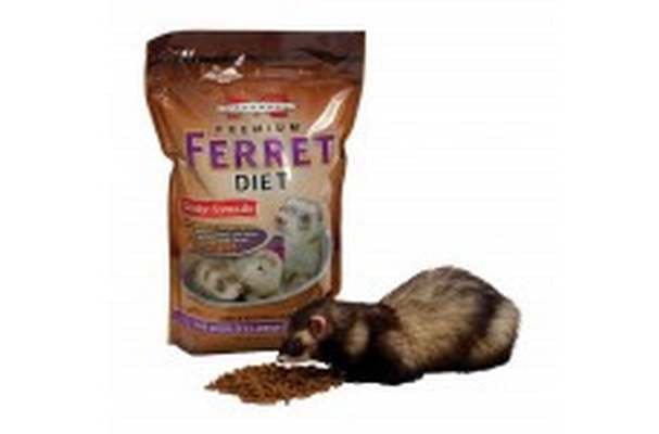 FreshMarine Offers Marshall Premium Ferret Diet Senior Formula 4lb bag