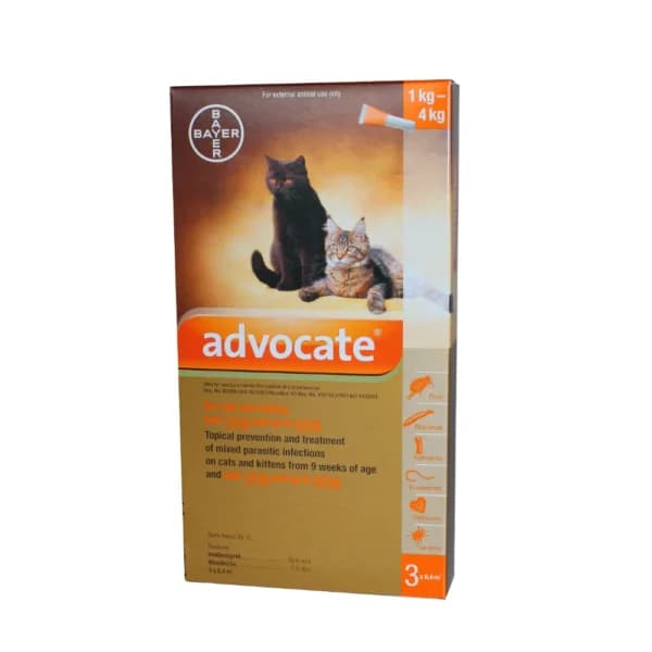 Advocate Spot On Cat - Silkworm Shop South Africa