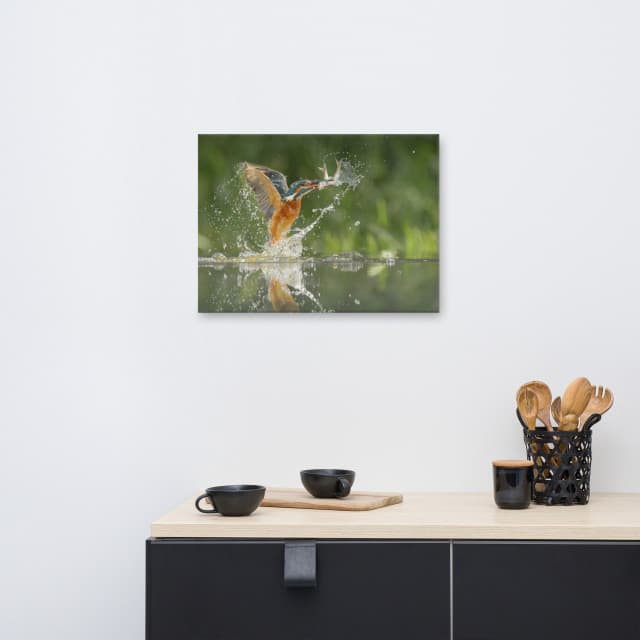 Flying Common Kingfisher Bird - Fish Animal Wildlife Photo Canvas Wall ...