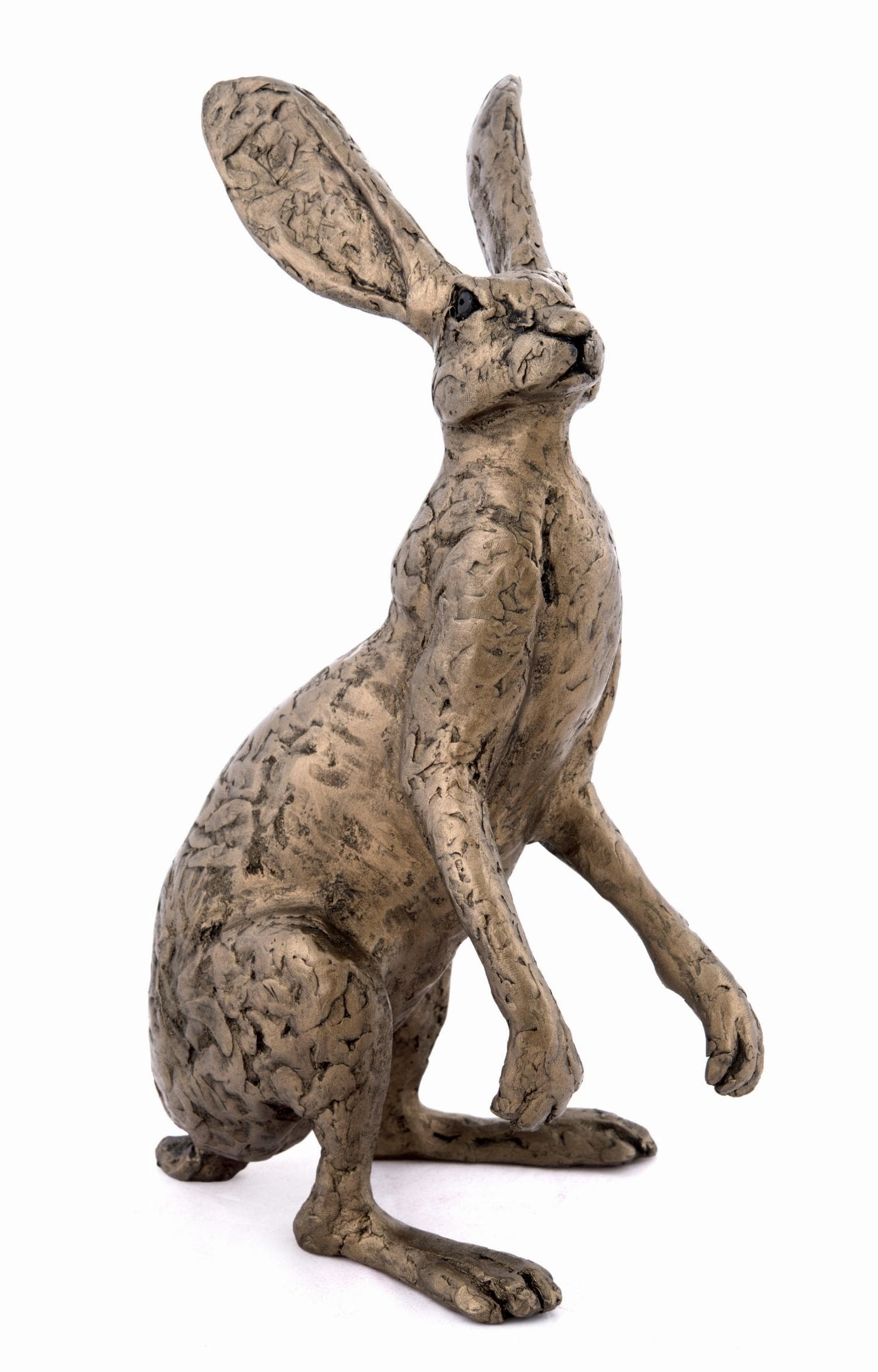 Frith Sculpture Howard Hare by Thomas Meadows