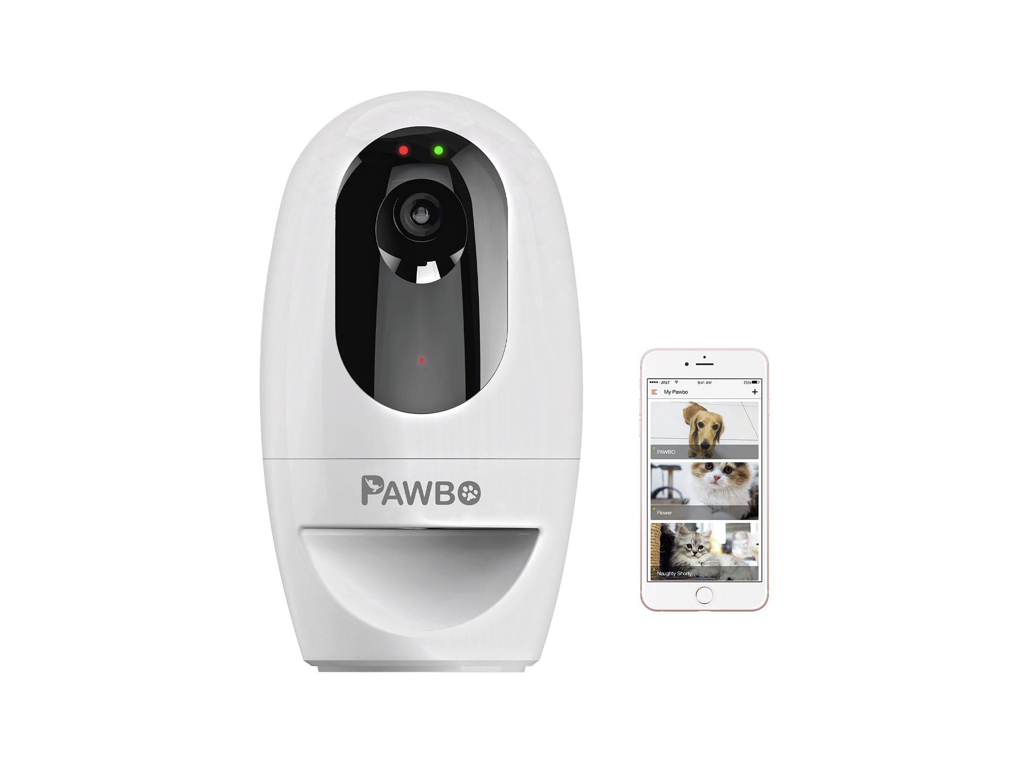 Best pet cameras for dogs and cats | The Independent