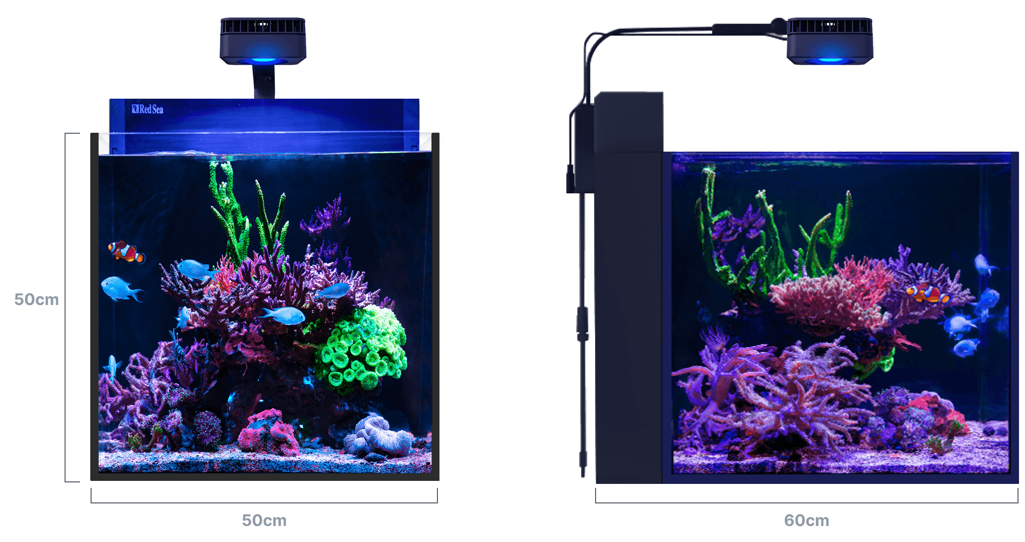 Nano Saltwater Aquarium Red Sea Max Nano G2 Peninsula Aquaristic