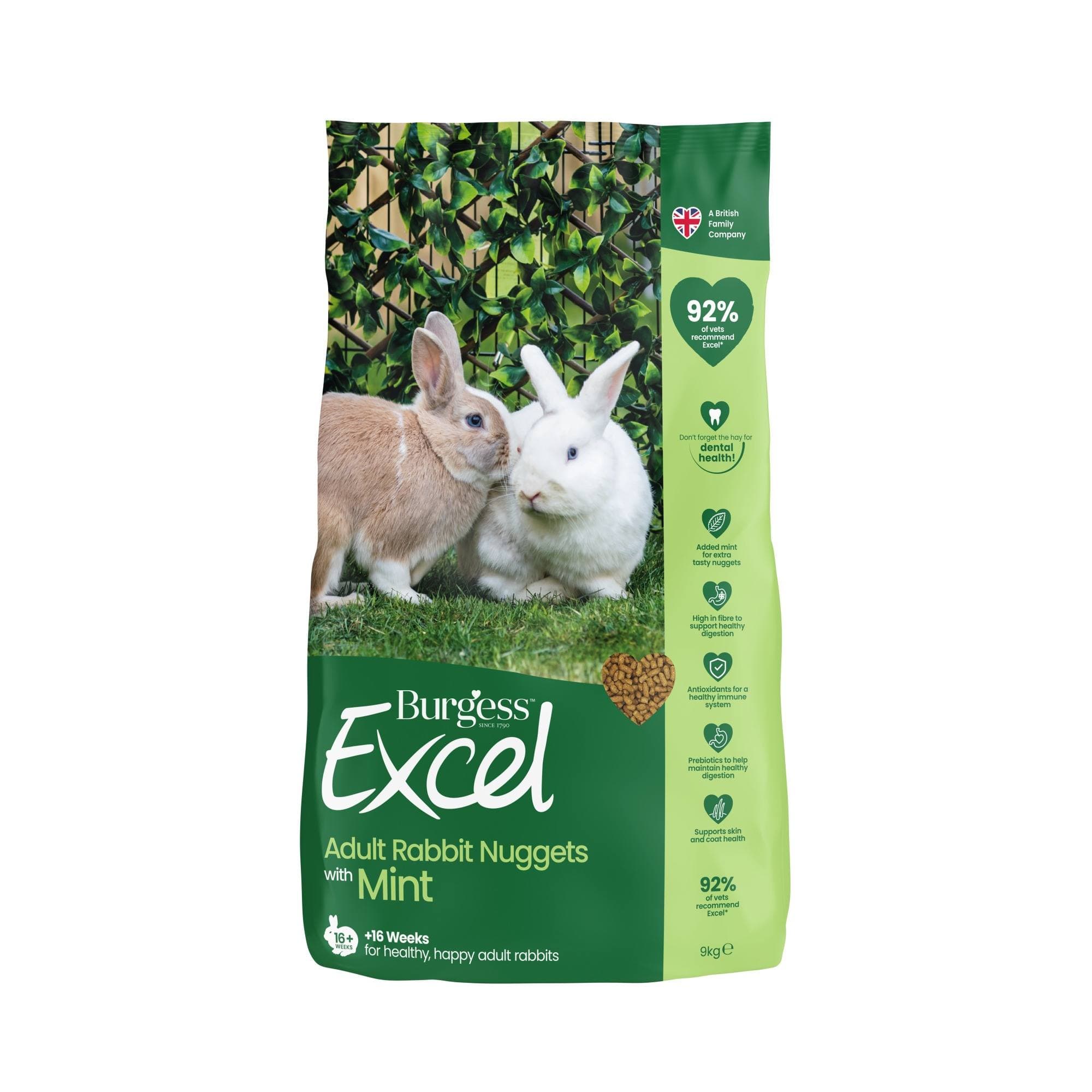 Burgess Excel Tasty Nuggets with Mint Adult 🐰 Rabbit Food