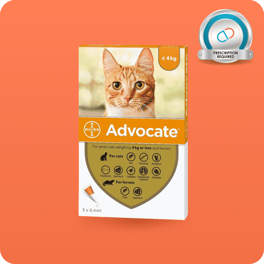 Advocate spot-on (cats) – The Animal Drugstore