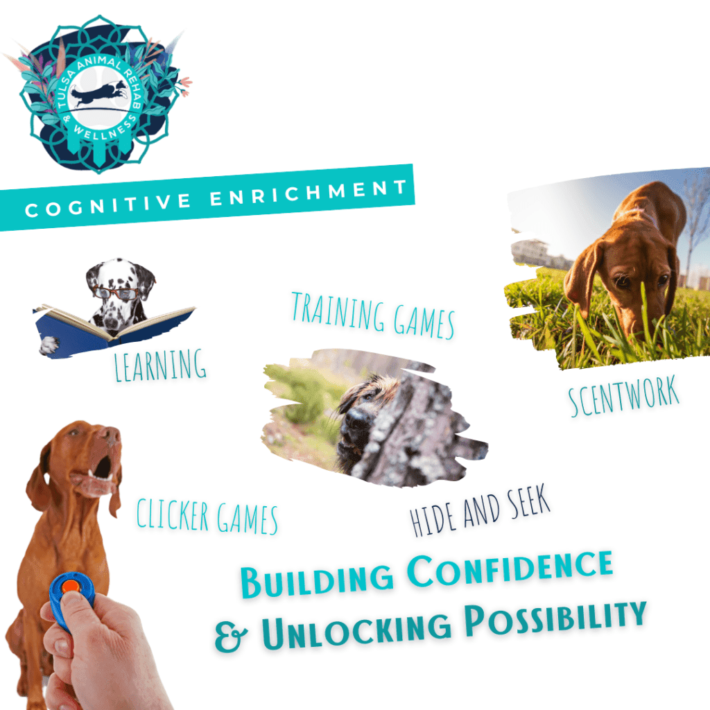 Canine Enrichment – Tulsa Animal Rehab & Wellness