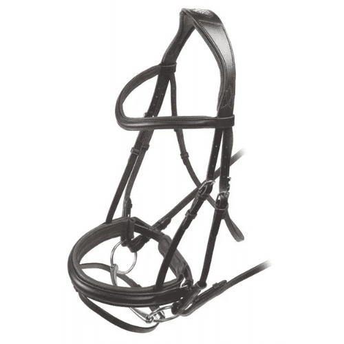 Shires Velociti Padded Raised Flash Bridle – Wilson's Tack