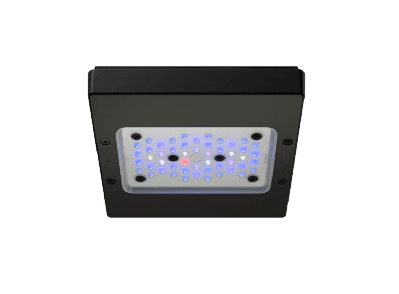 Ecotech Radion XR15 G6 Blue - Advanced Aquarium Consultancy