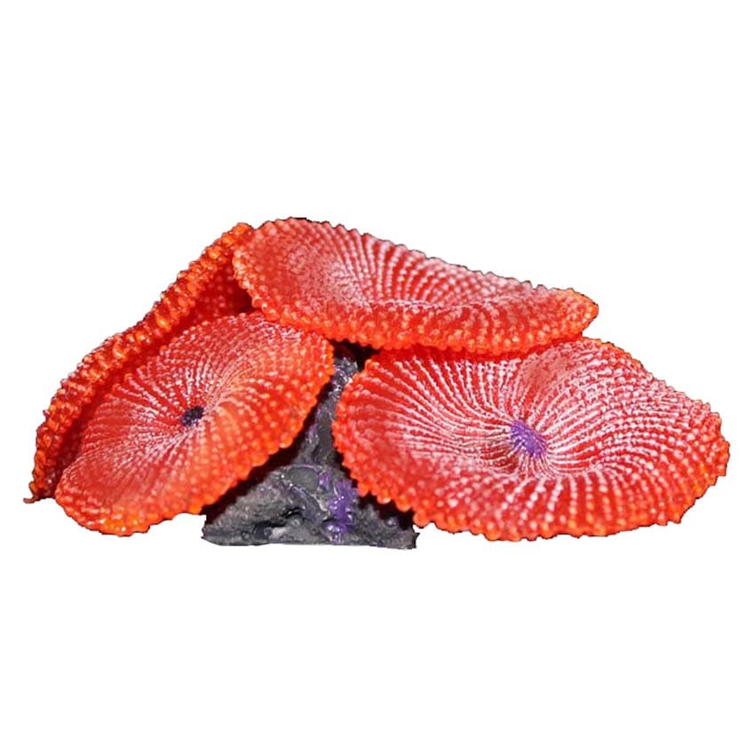 Aqua One Coral Replica Brain Coral